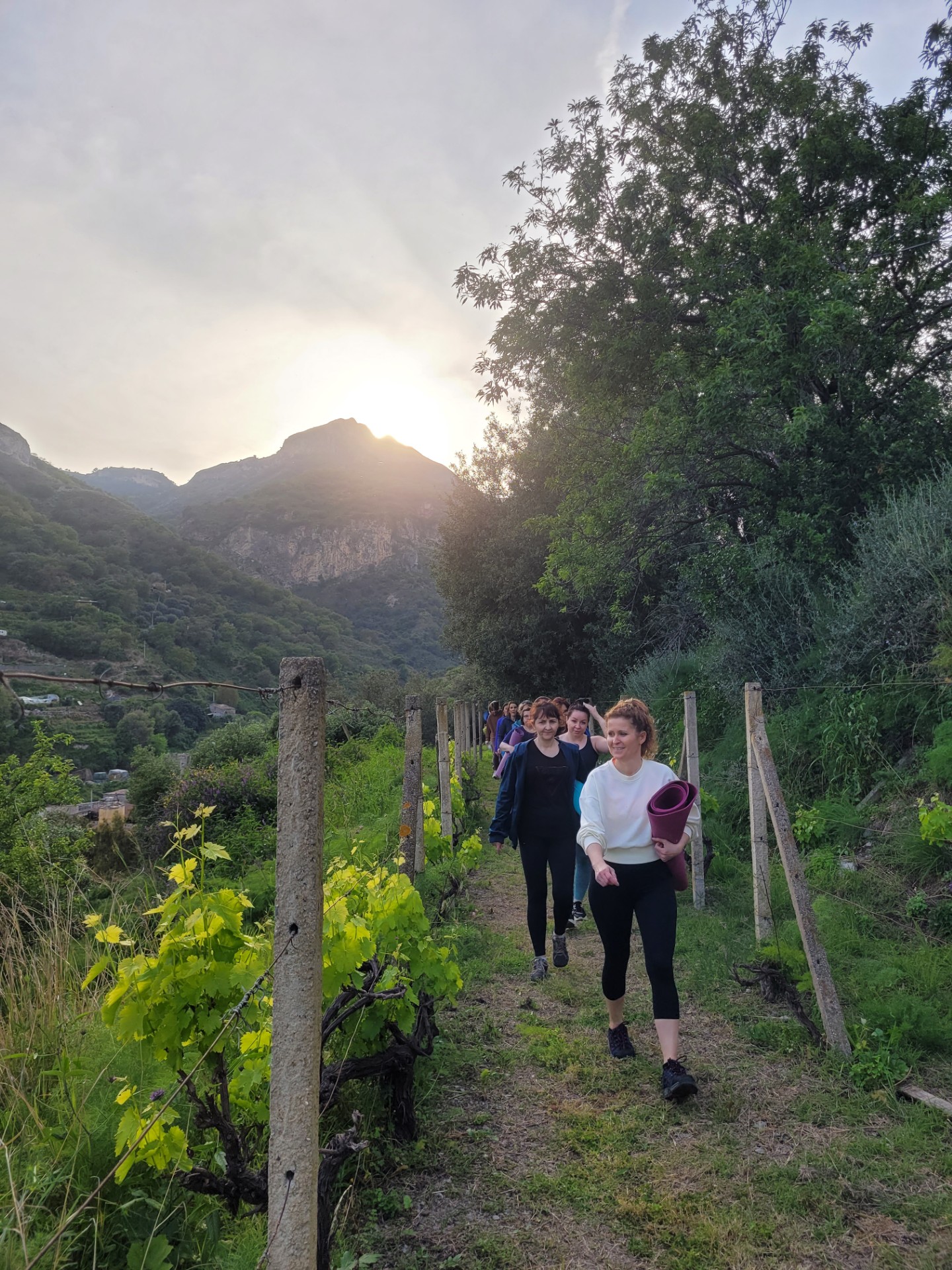 women with yogamats walking through vineyards